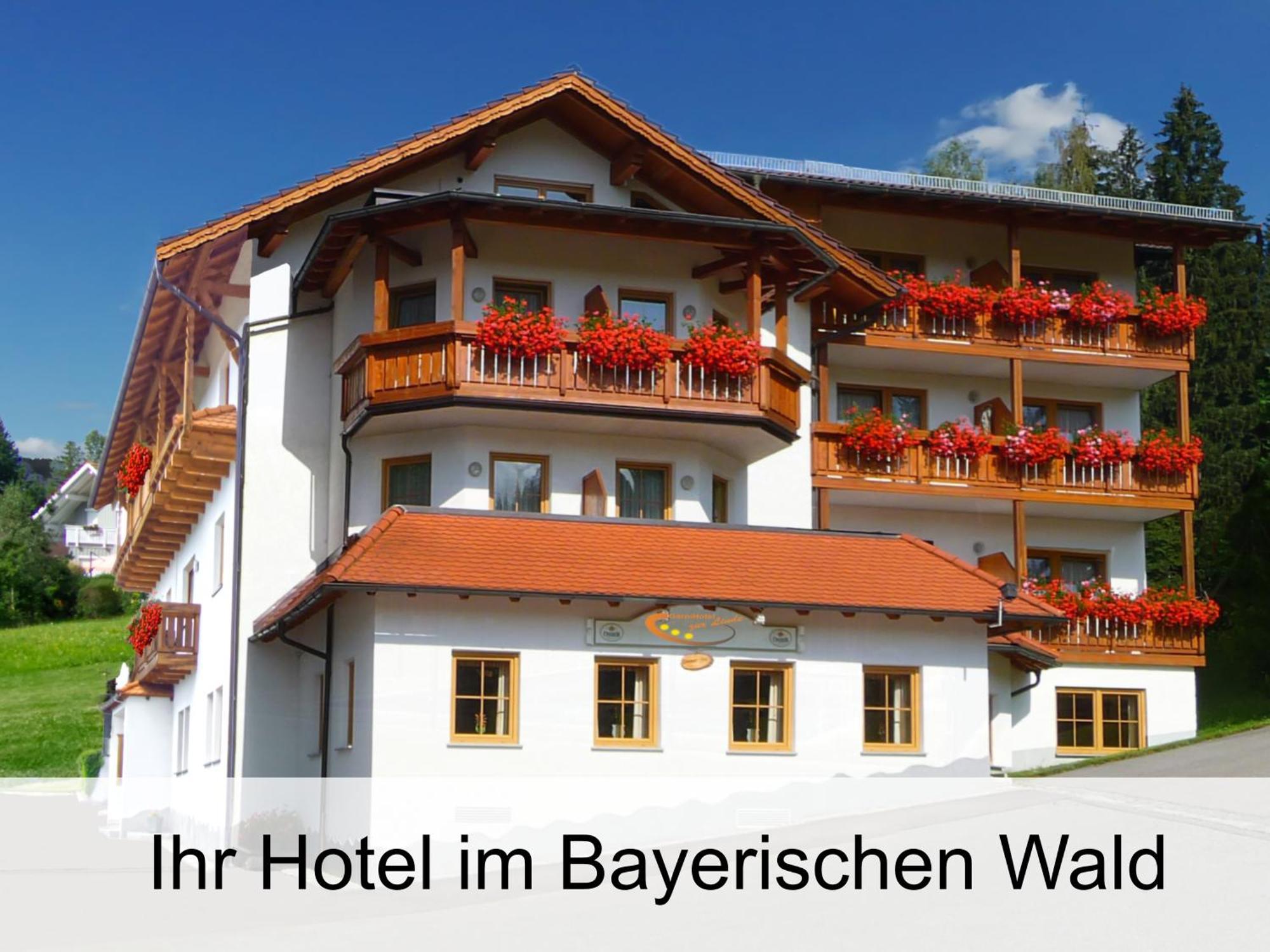 Garnihotel Zur Linde - Bayerischer Wald - Aktivcard Mit 154 Kostenfreien Leistungen - Kostenloser Parkplatz โลห์แบร์ก ภายนอก รูปภาพ