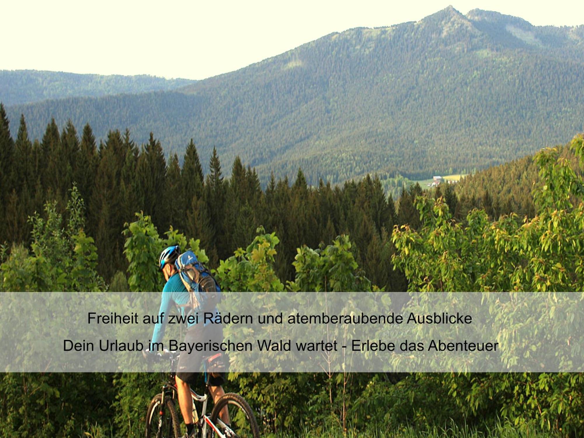 Garnihotel Zur Linde - Bayerischer Wald - Aktivcard Mit 154 Kostenfreien Leistungen - Kostenloser Parkplatz โลห์แบร์ก ภายนอก รูปภาพ