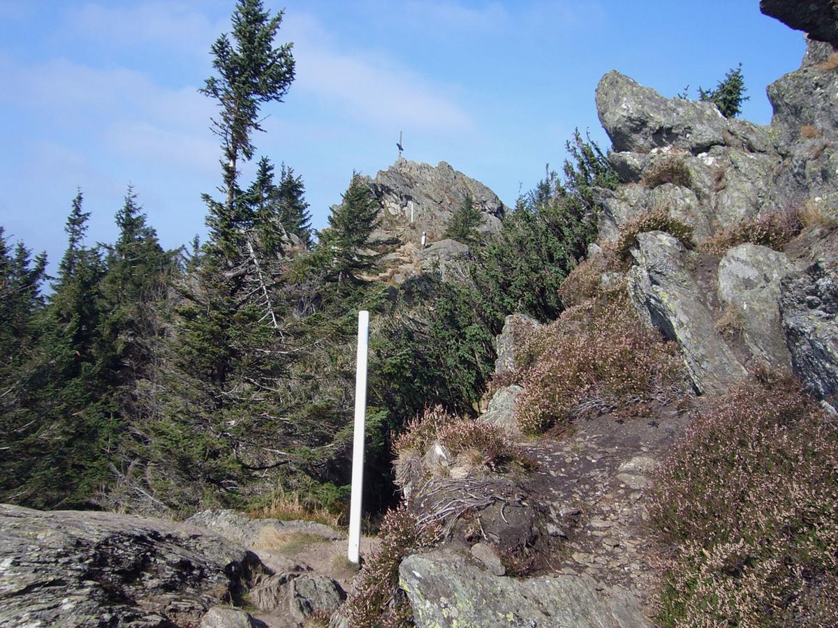 Garnihotel Zur Linde - Bayerischer Wald - Aktivcard Mit 154 Kostenfreien Leistungen - Kostenloser Parkplatz โลห์แบร์ก ห้อง รูปภาพ